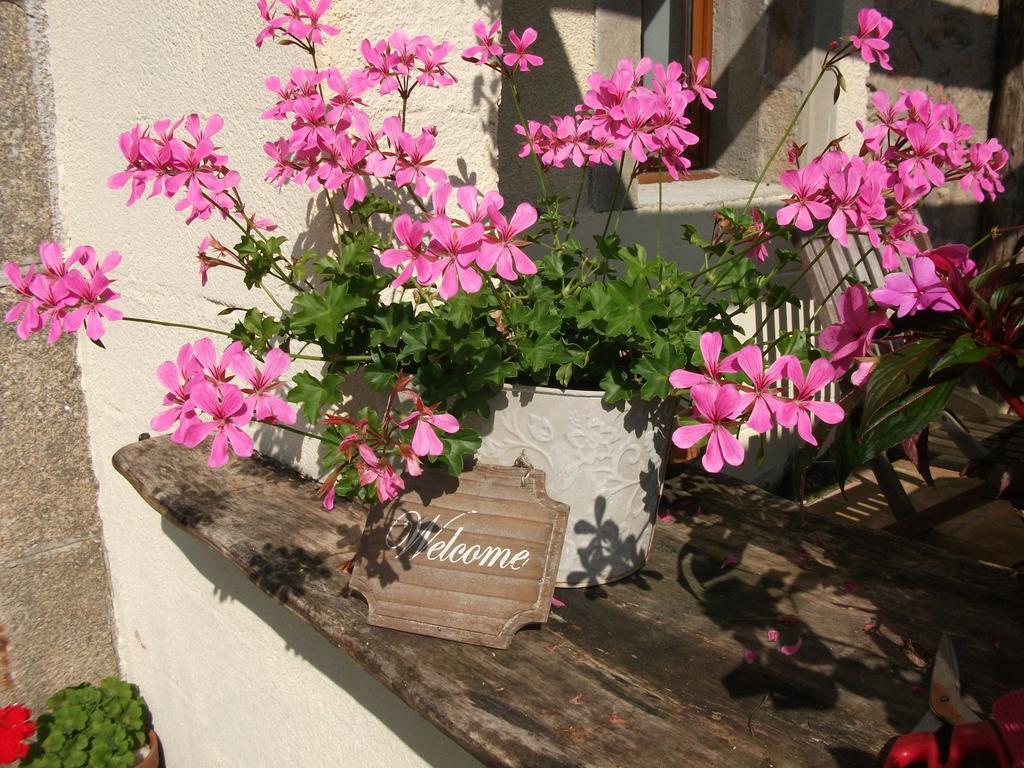 38 Friaudour Bed & Breakfast แซงต์ปาร์ดูซ์ ภายนอก รูปภาพ